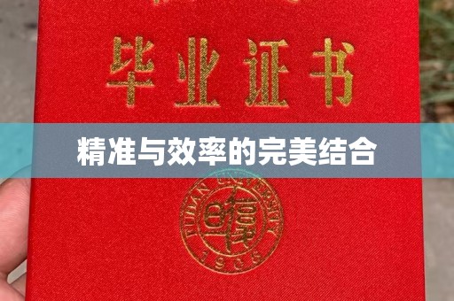宁远精准与效率的完美结合